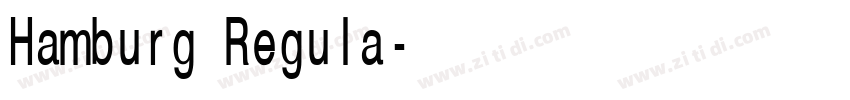 Hamburg Regula字体转换